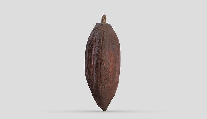 Cocoa Low Poly Low-poly 3D model 5