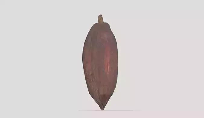 Cocoa Low Poly Low-poly 3D model