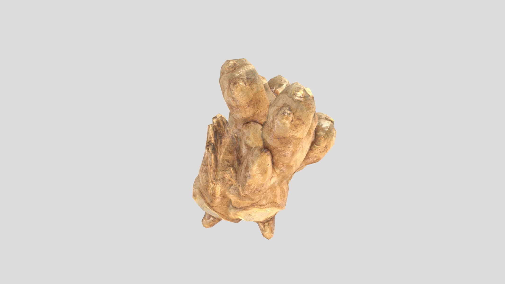 Ginger Low Poly Low-poly 3D model_6