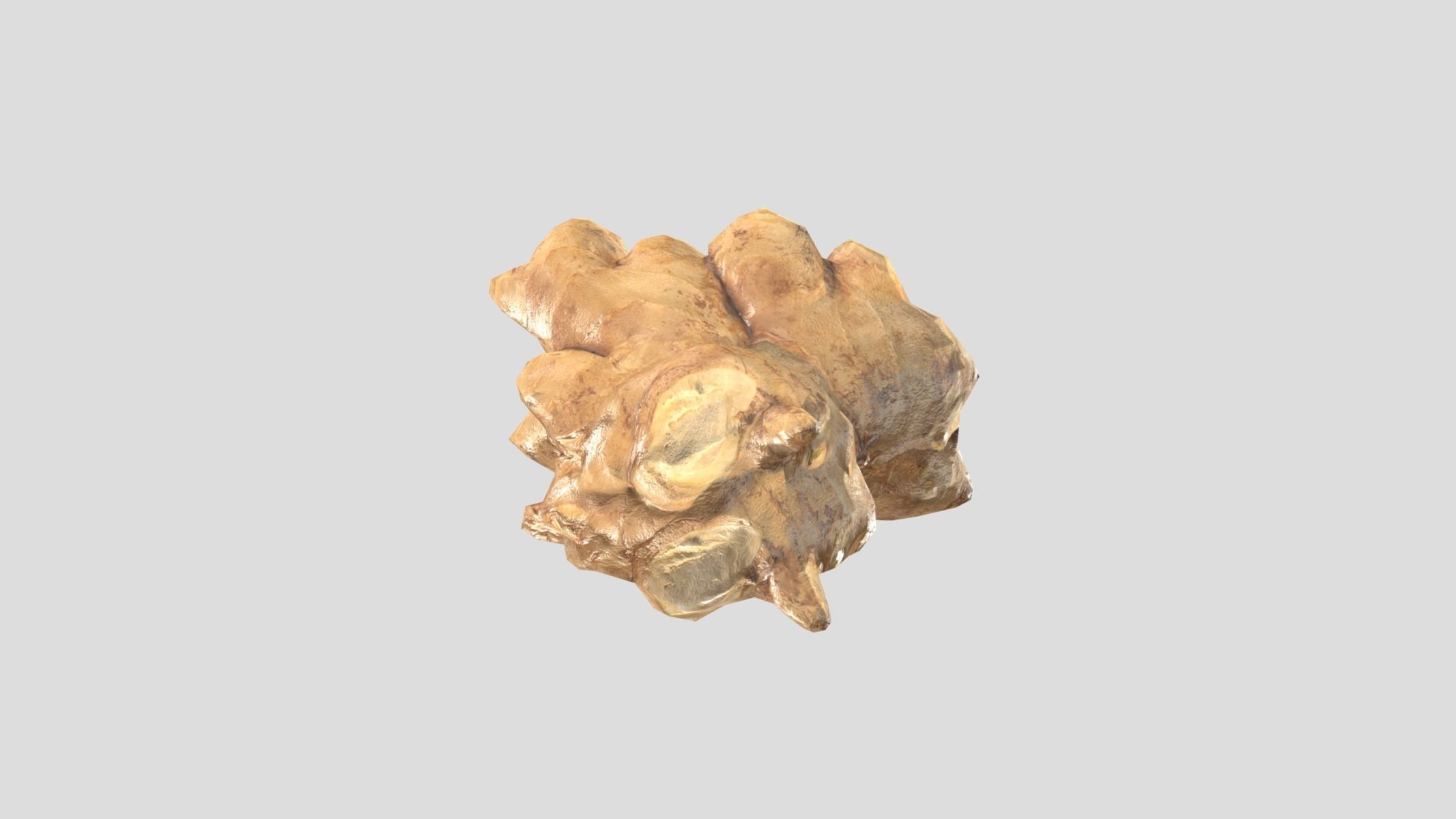 Ginger Low Poly Low-poly 3D model_10