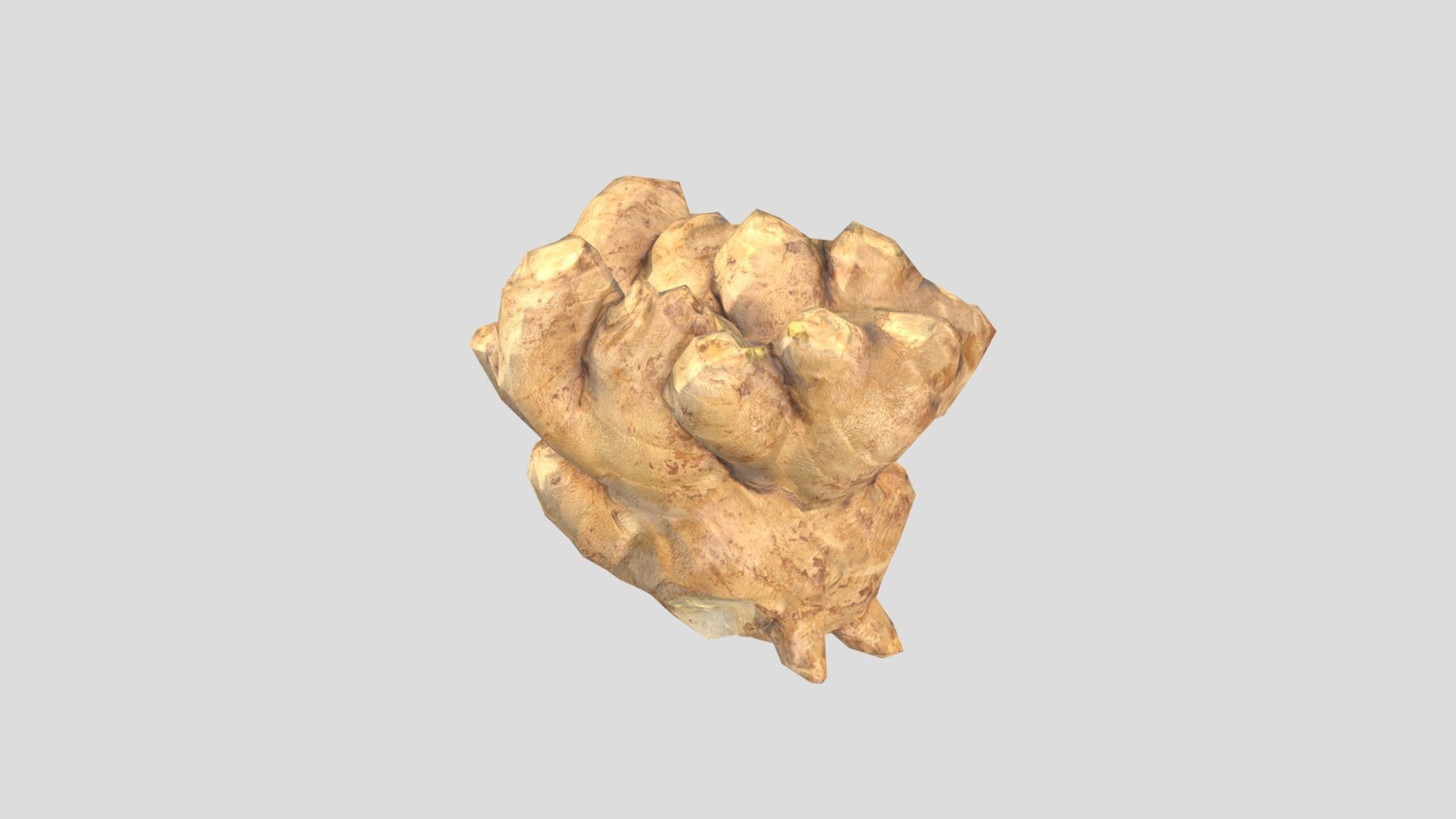 Ginger Low Poly Low-poly 3D model_2