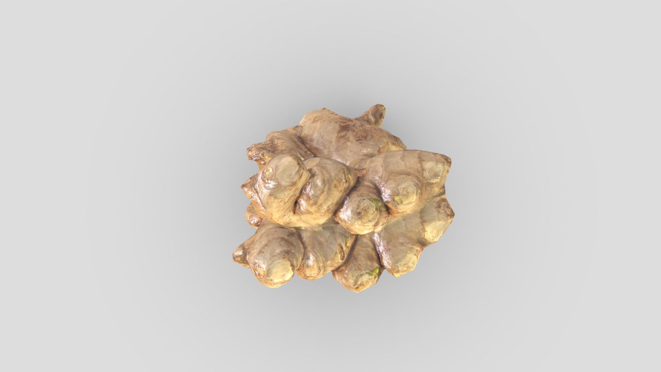 Ginger Low Poly Low-poly 3D model_8