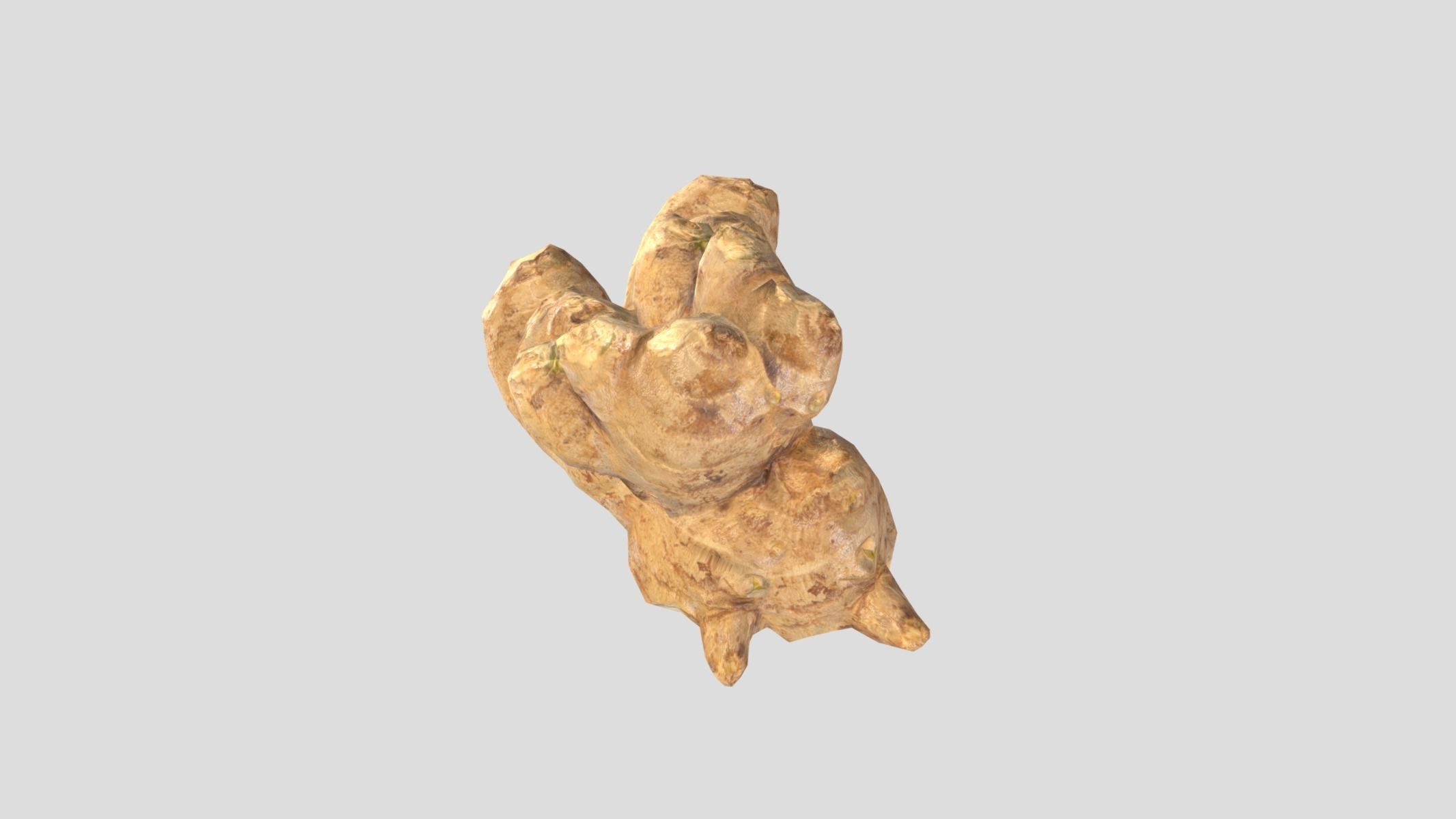 Ginger Low Poly Low-poly 3D model_4