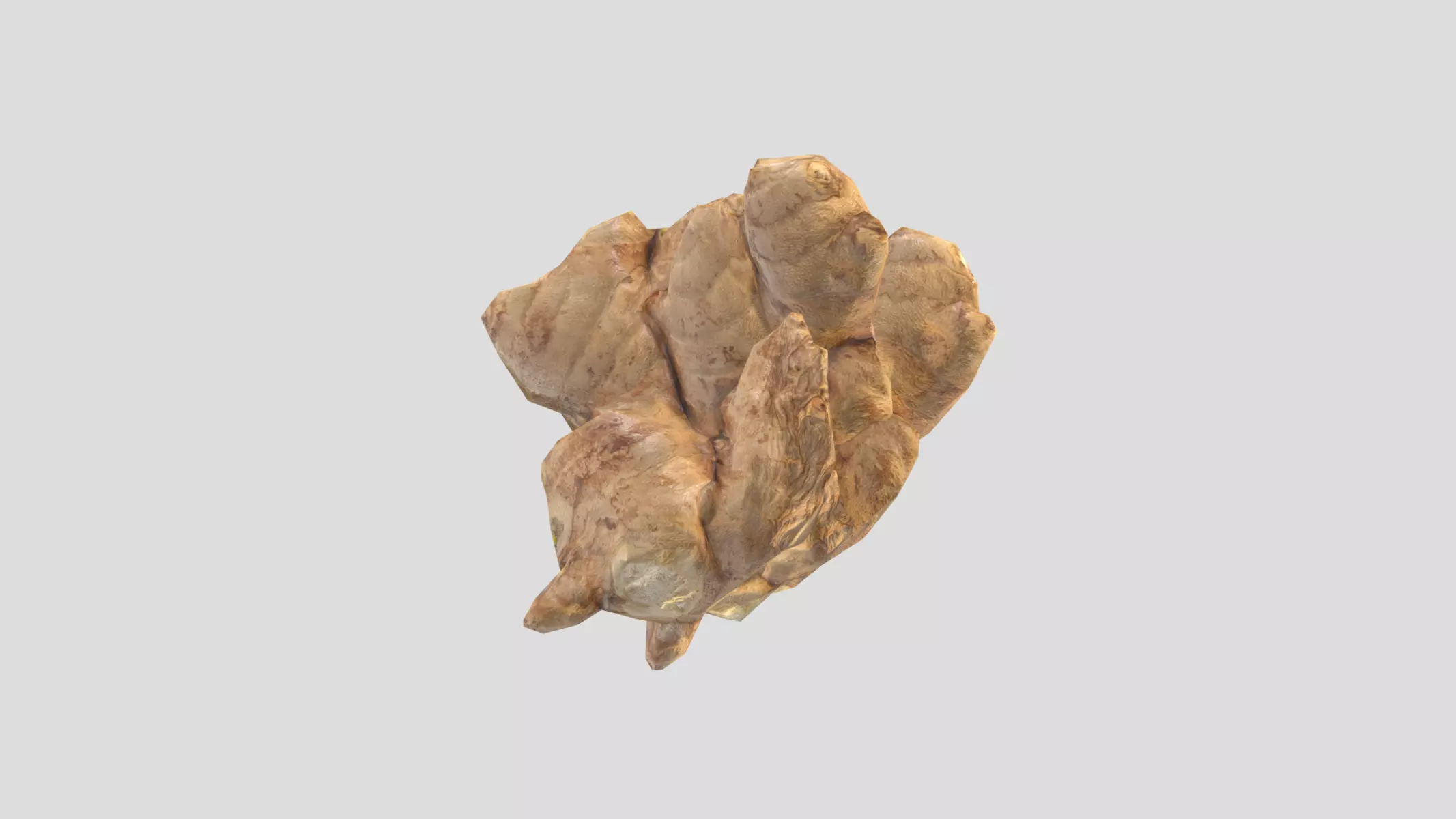 Ginger Low Poly Low-poly 3D model_0