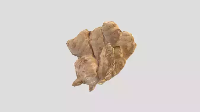 Ginger Low Poly Low-poly 3D model