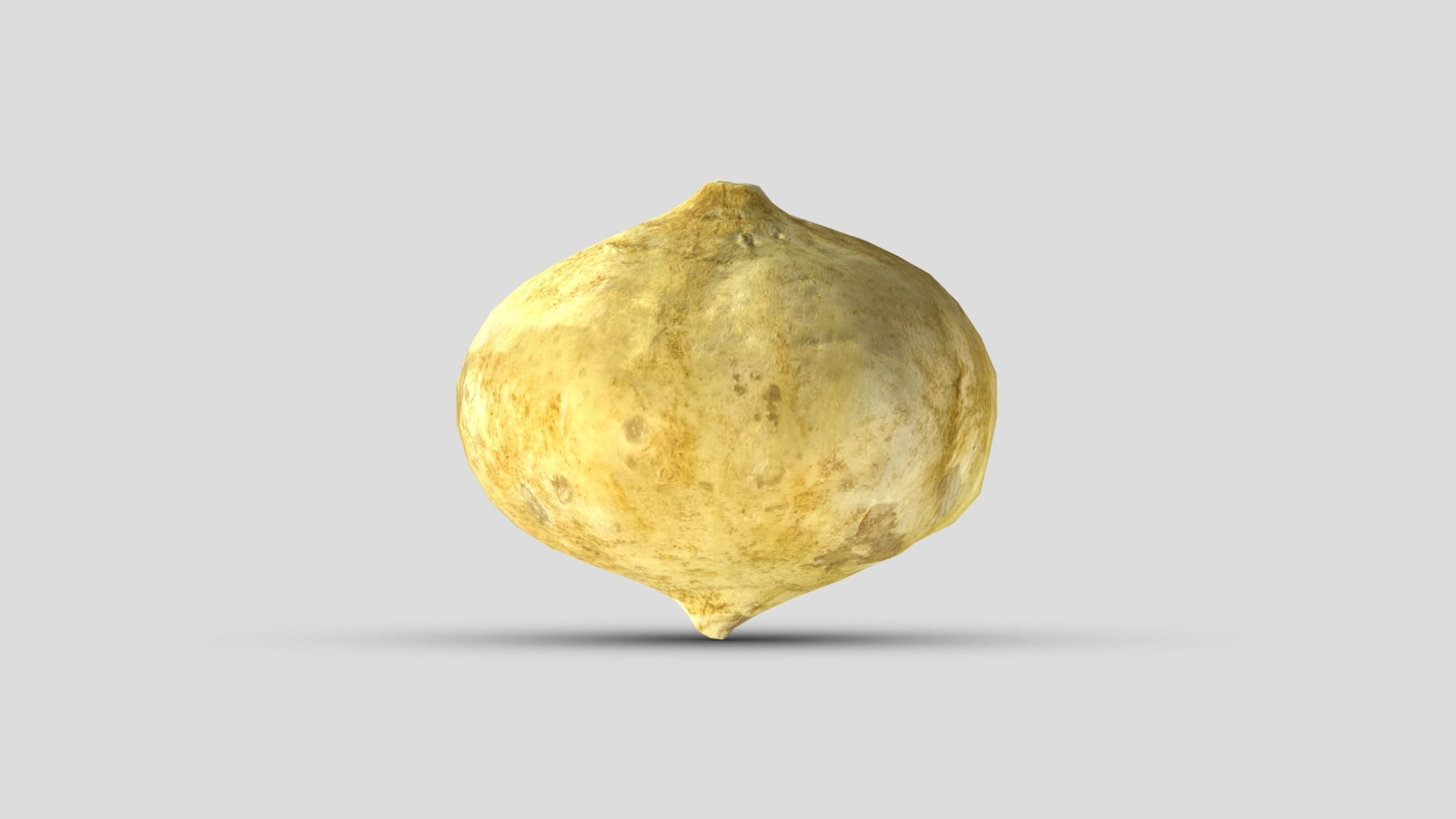 Jicama Low Poly Low-poly 3D model_6
