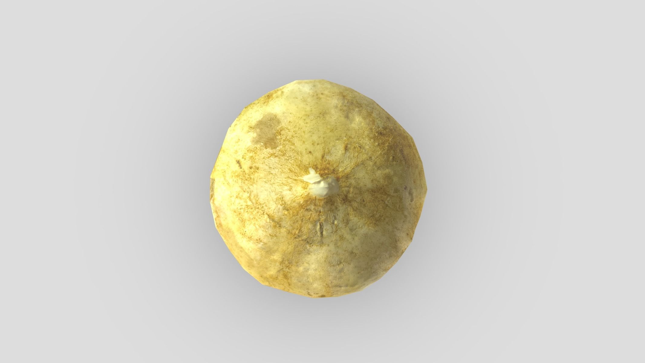 Jicama Low Poly Low-poly 3D model_8
