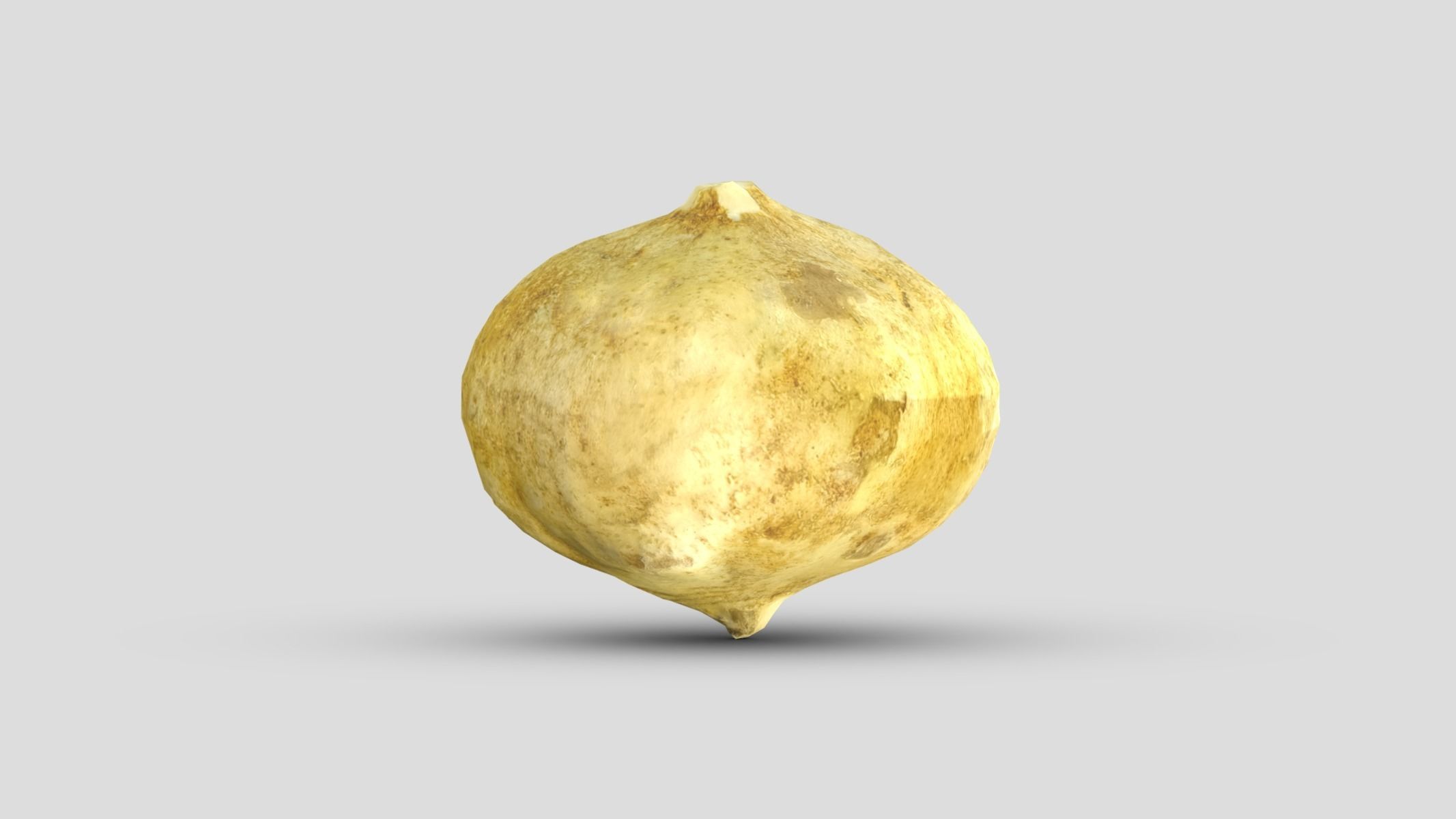 Jicama Low Poly Low-poly 3D model_2