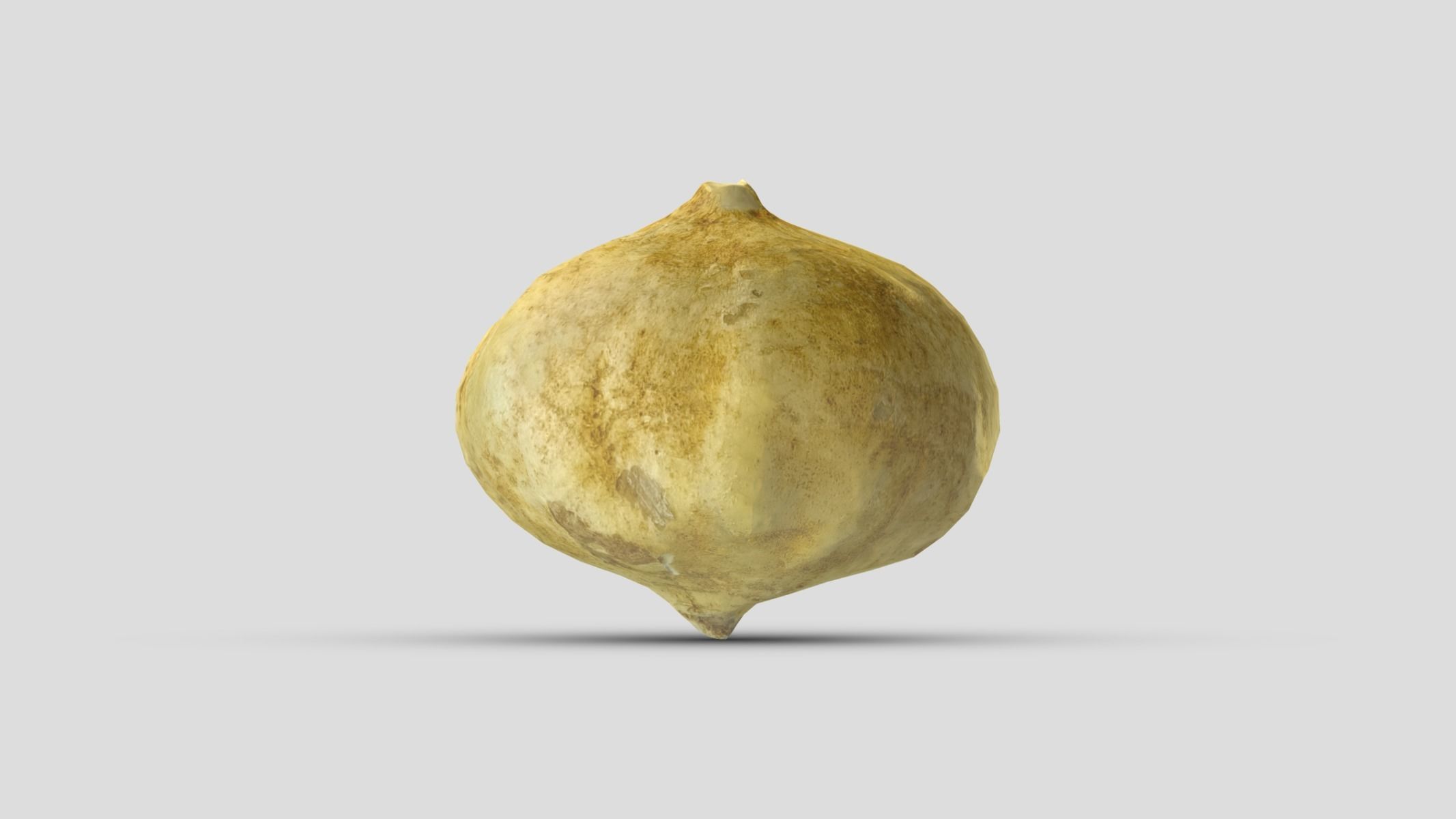Jicama Low Poly Low-poly 3D model_4