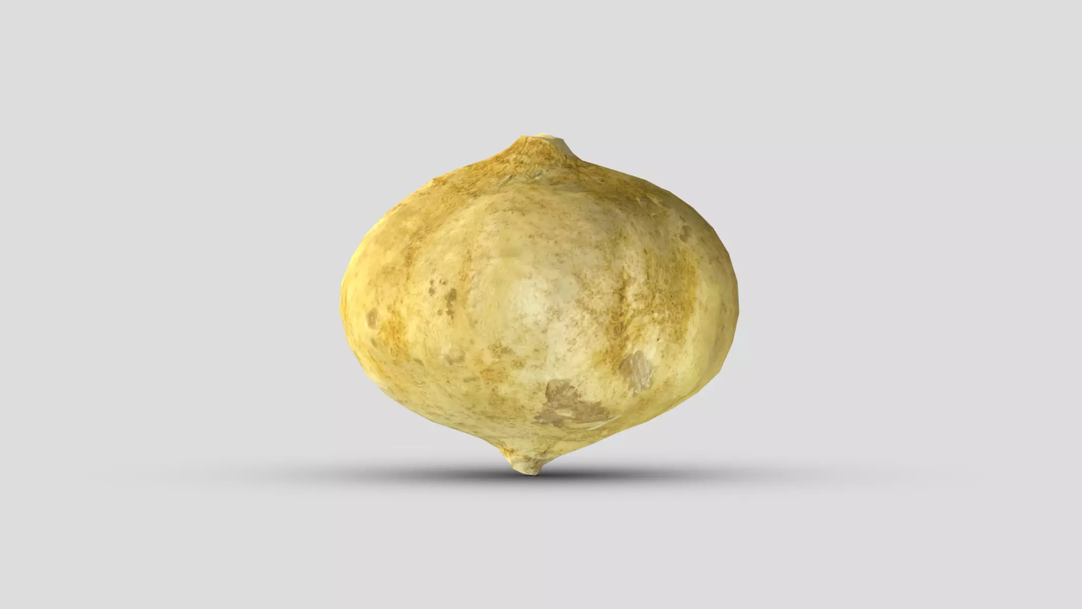 Jicama Low Poly Low-poly 3D model_0