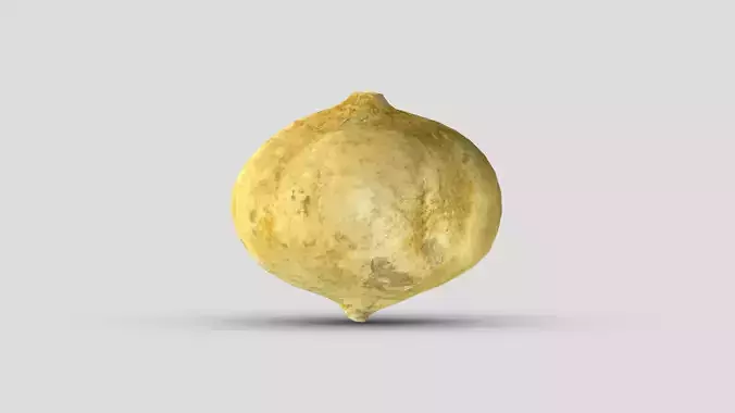 Jicama Low Poly Low-poly 3D model