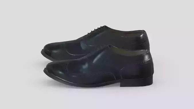 Longwing Low Poly Low-poly 3D model