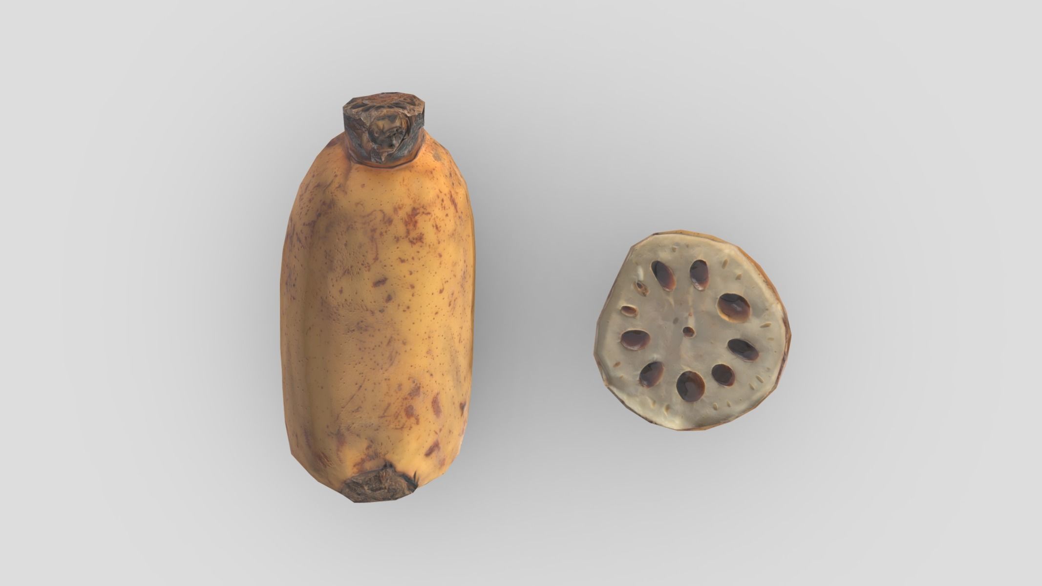Lotus root Low Poly Low-poly 3D model_14