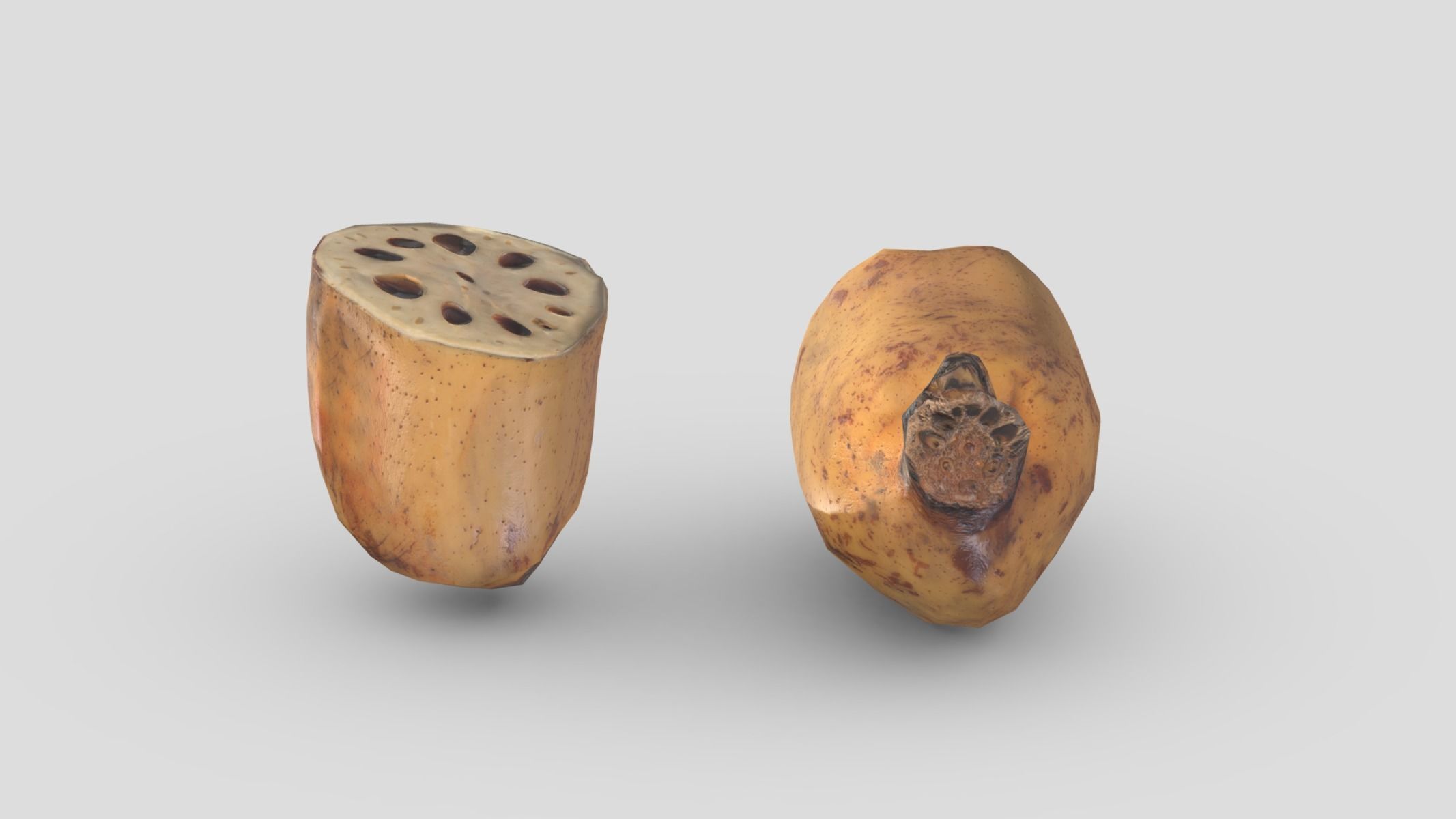 Lotus root Low Poly Low-poly 3D model_13