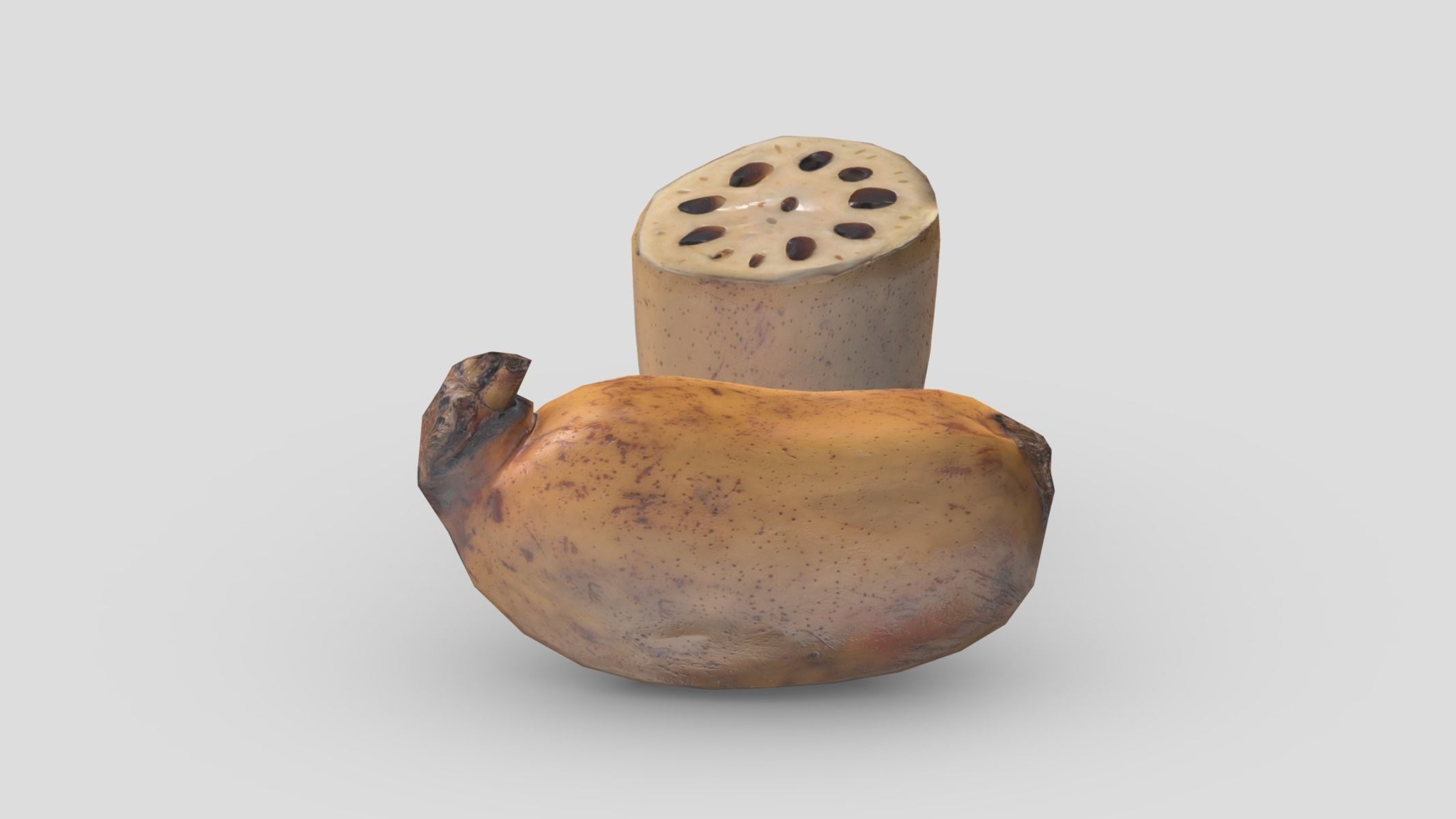 Lotus root Low Poly Low-poly 3D model_6