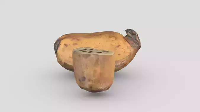 Lotus root Low Poly Low-poly 3D model