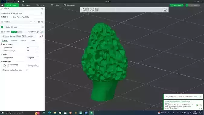 Morel Mushroom 3D Printing ready Model