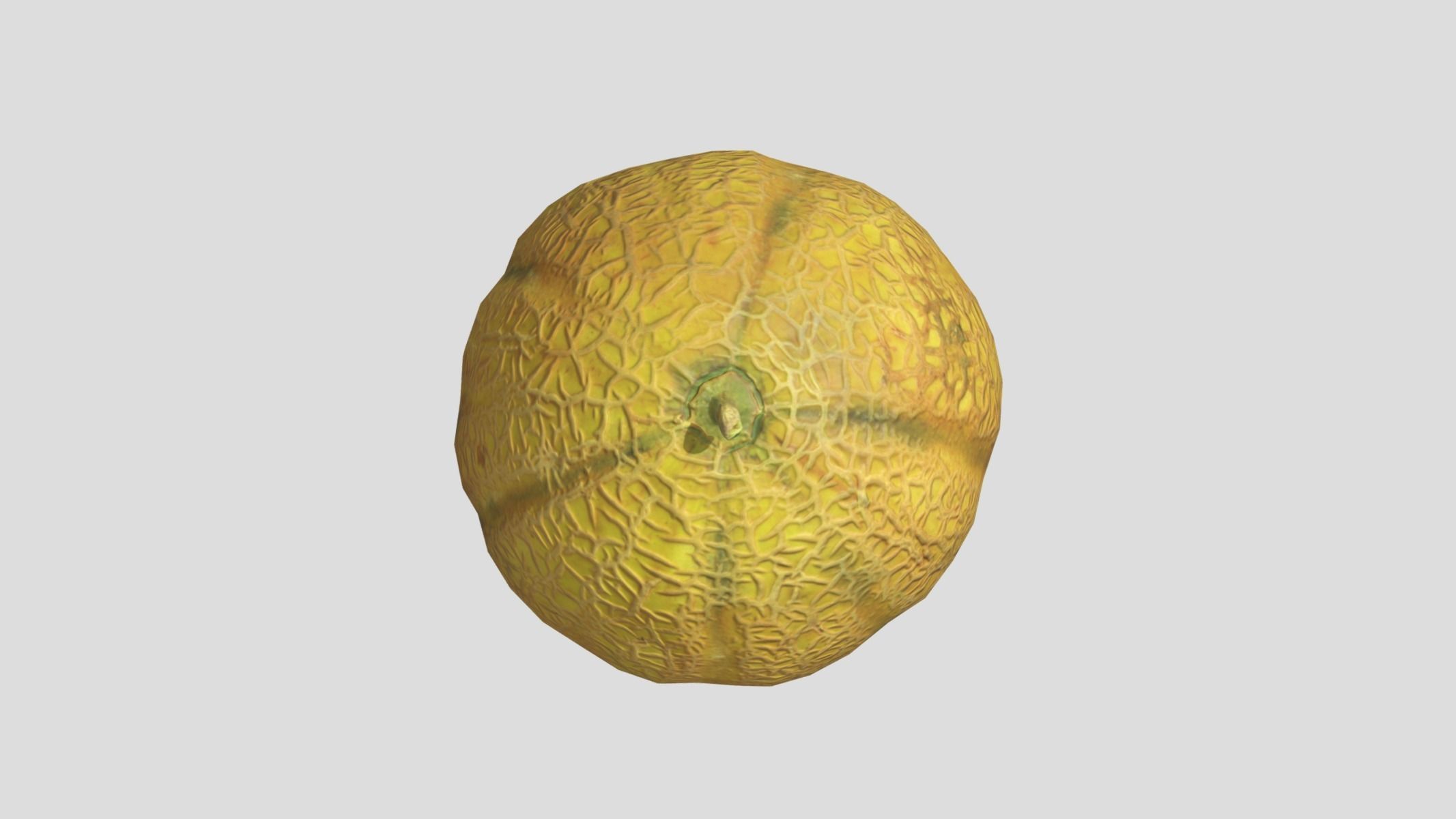 Melon Fruit Low Poly 3D model_8