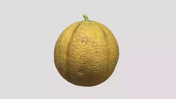 Melon Fruit Low Poly