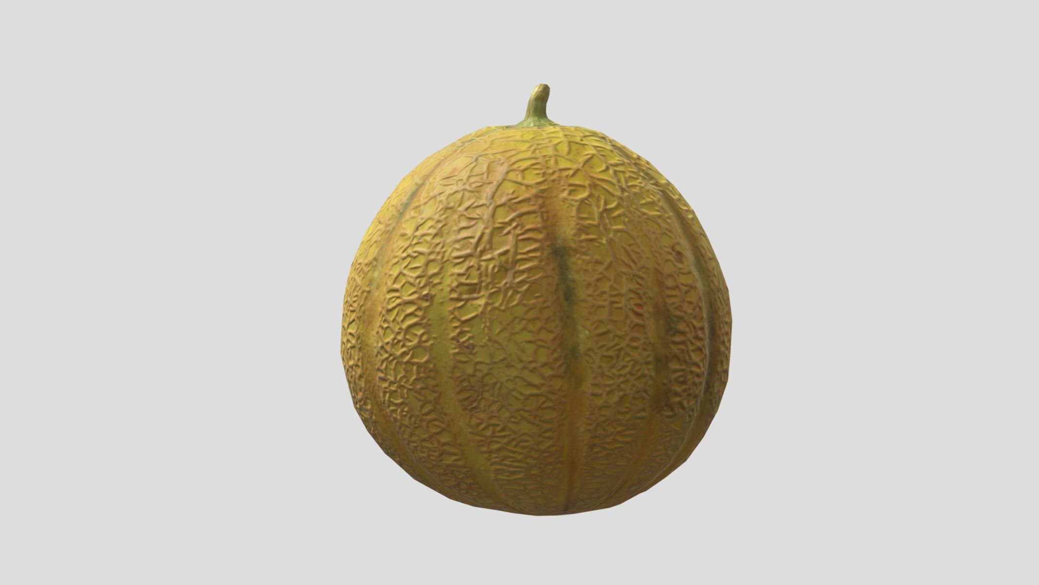 Melon Fruit Low Poly 3D model_2