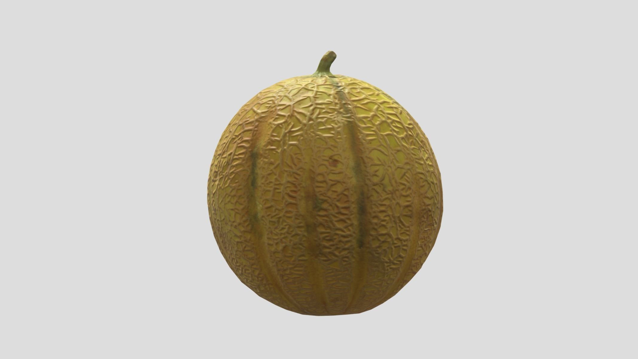Melon Fruit Low Poly 3D model_4