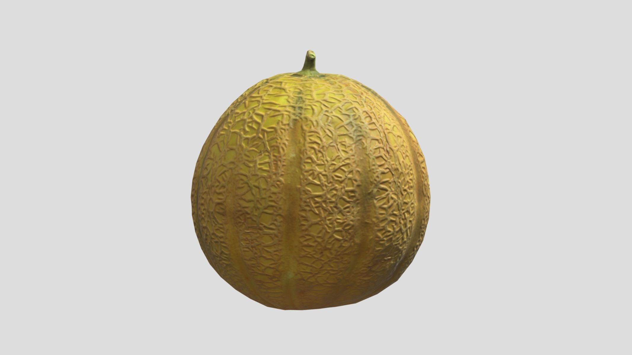 Melon Fruit Low Poly 3D model_6