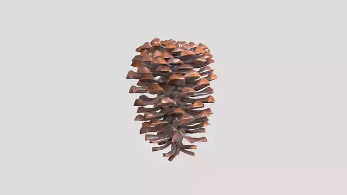 Pine Cone Low PoLy Low-poly 3D model