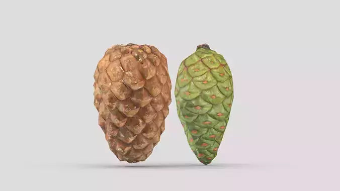 Pine Cone 2 Low PoLy Low-poly 3D model