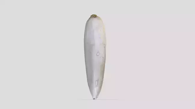 RadishLow Poly Low-poly 3D model