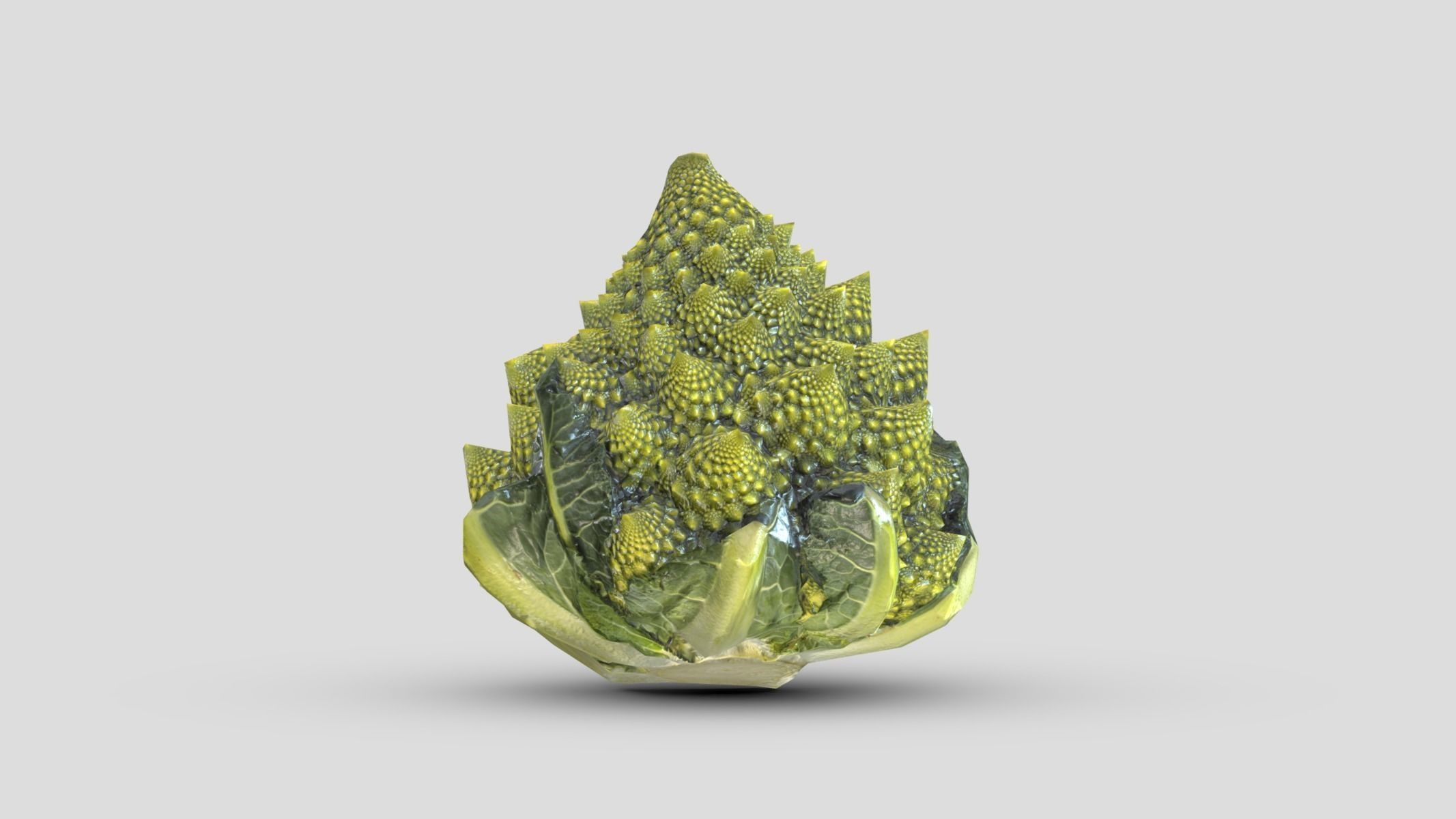 Romanesco Low Poly Low-poly 3D model_4