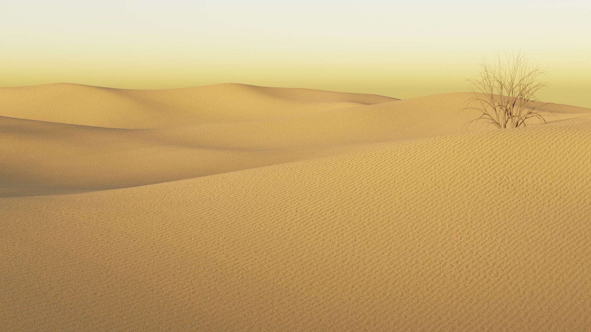 Realistic 3D Desert  HighQuality  for Animation Games  VR 3D model_3