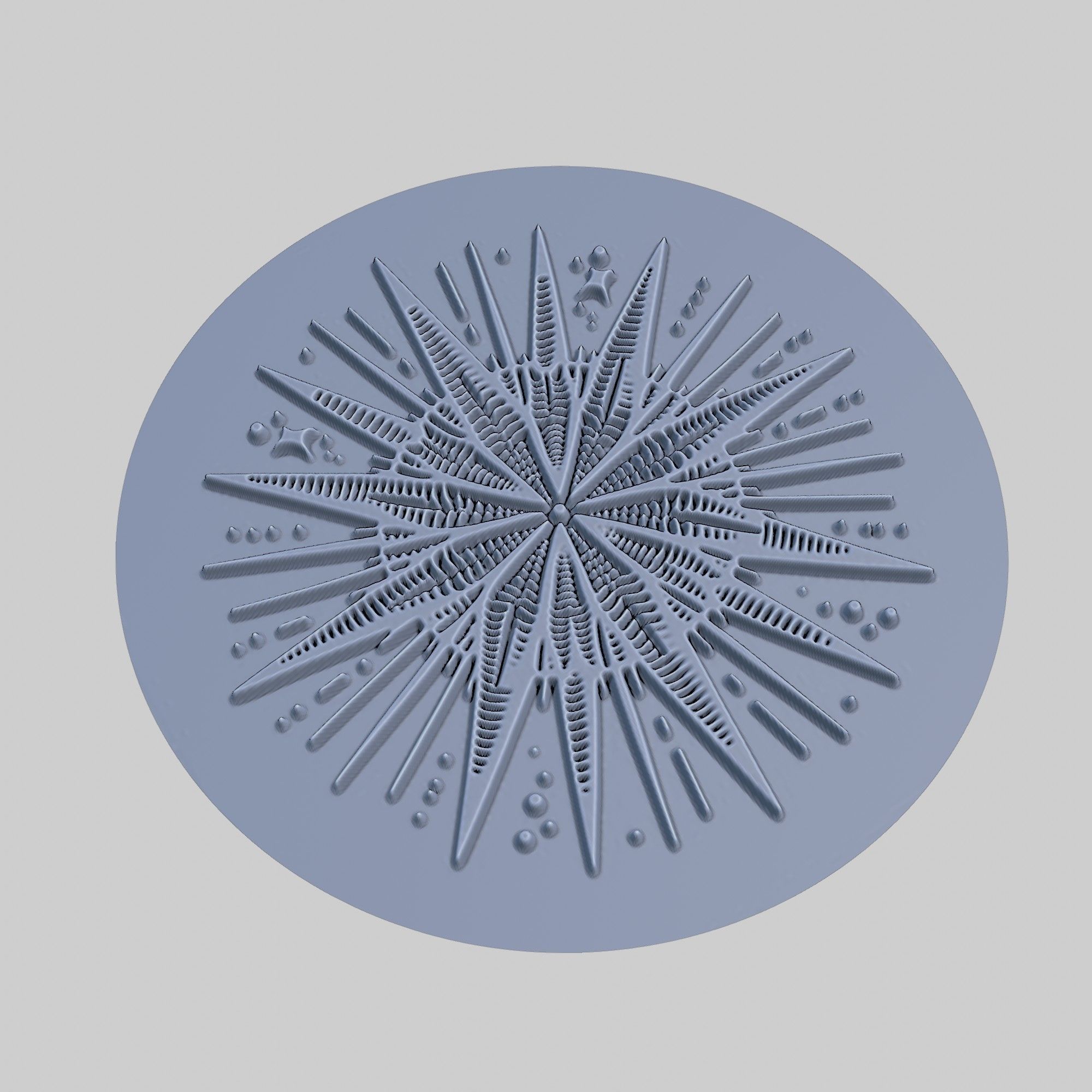 Sea urchin Animal Medallion Sea urchin Print Model 3D print model_3