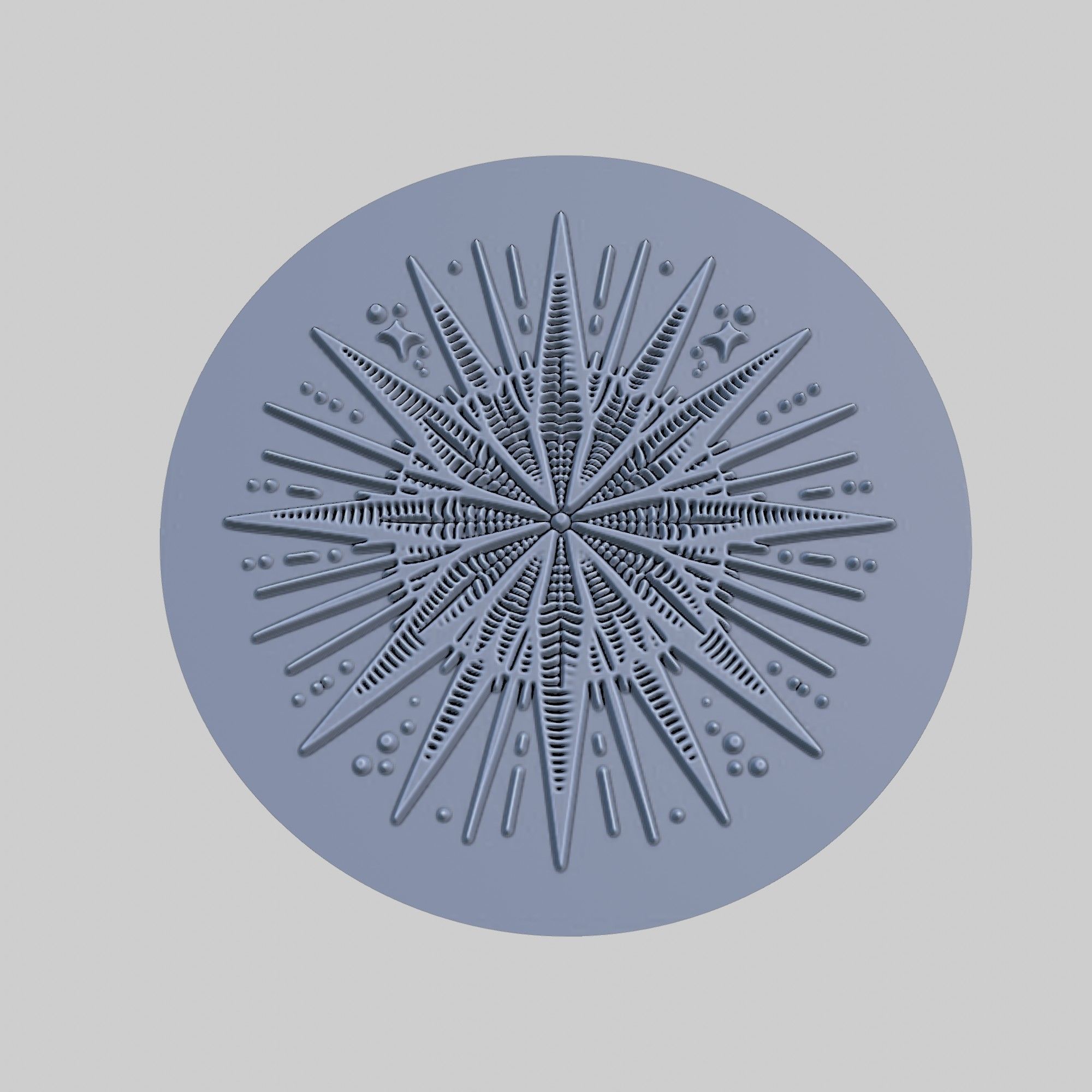 Sea urchin Animal Medallion Sea urchin Print Model 3D print model_2