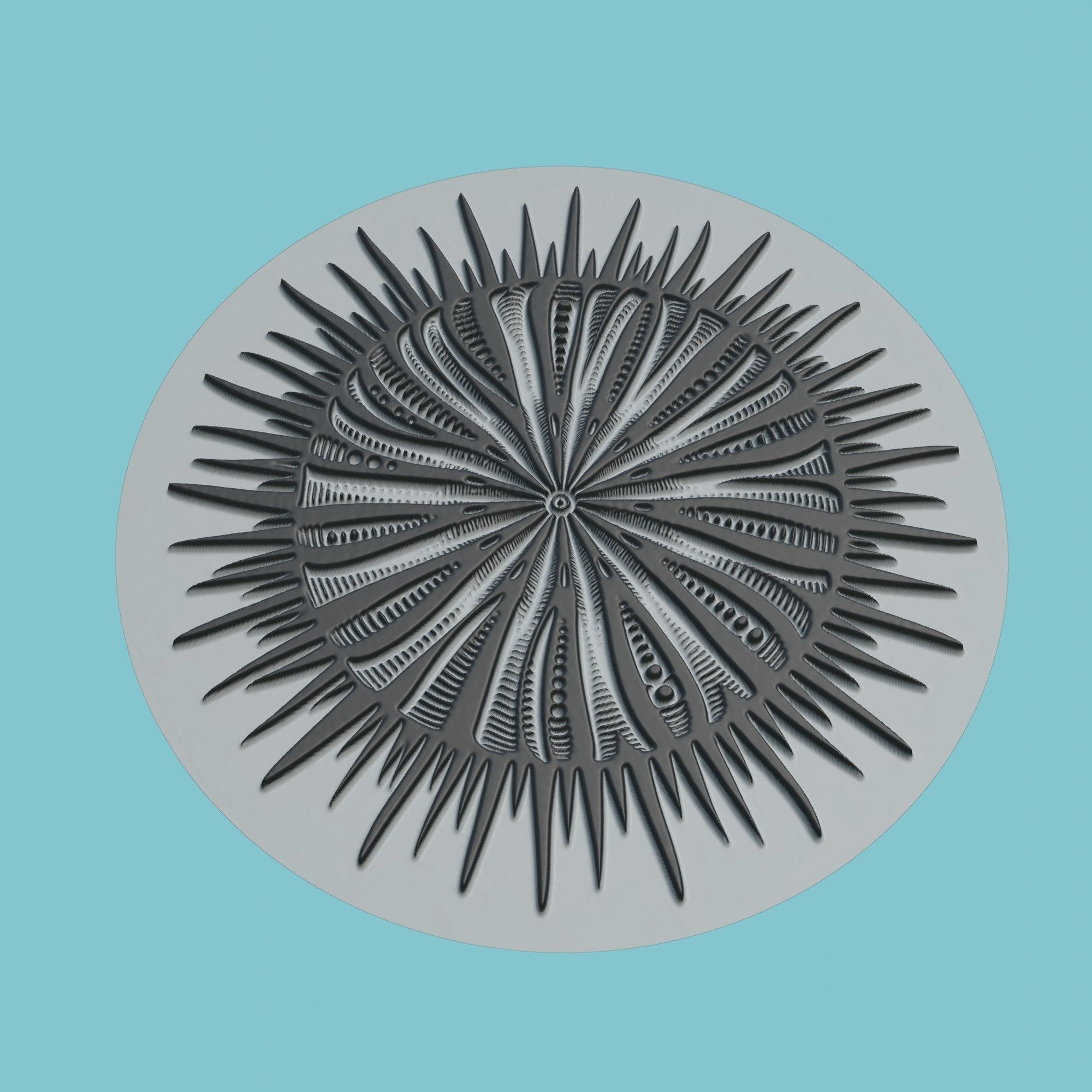 Sea urchin Animal Medallion Sea urchin Print Model 3D print model_1