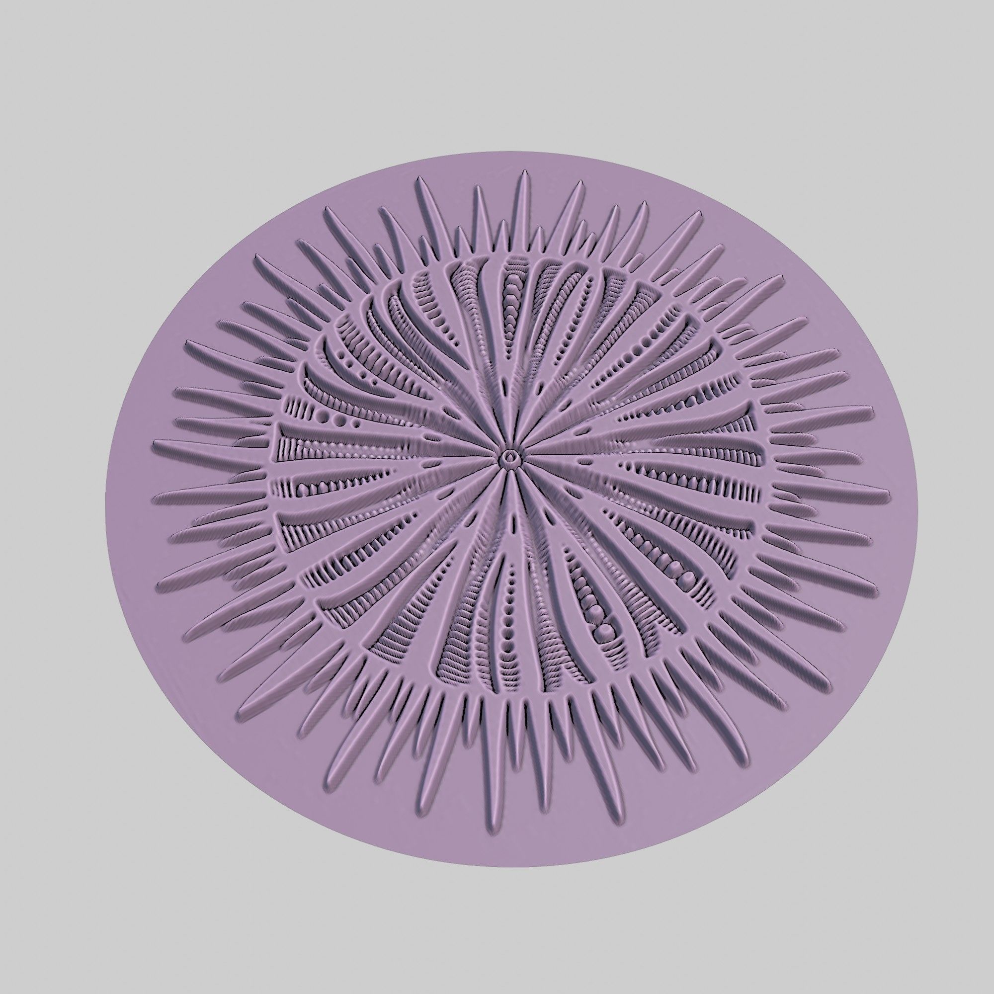 Sea urchin Animal Medallion Sea urchin Print Model 3D print model_3
