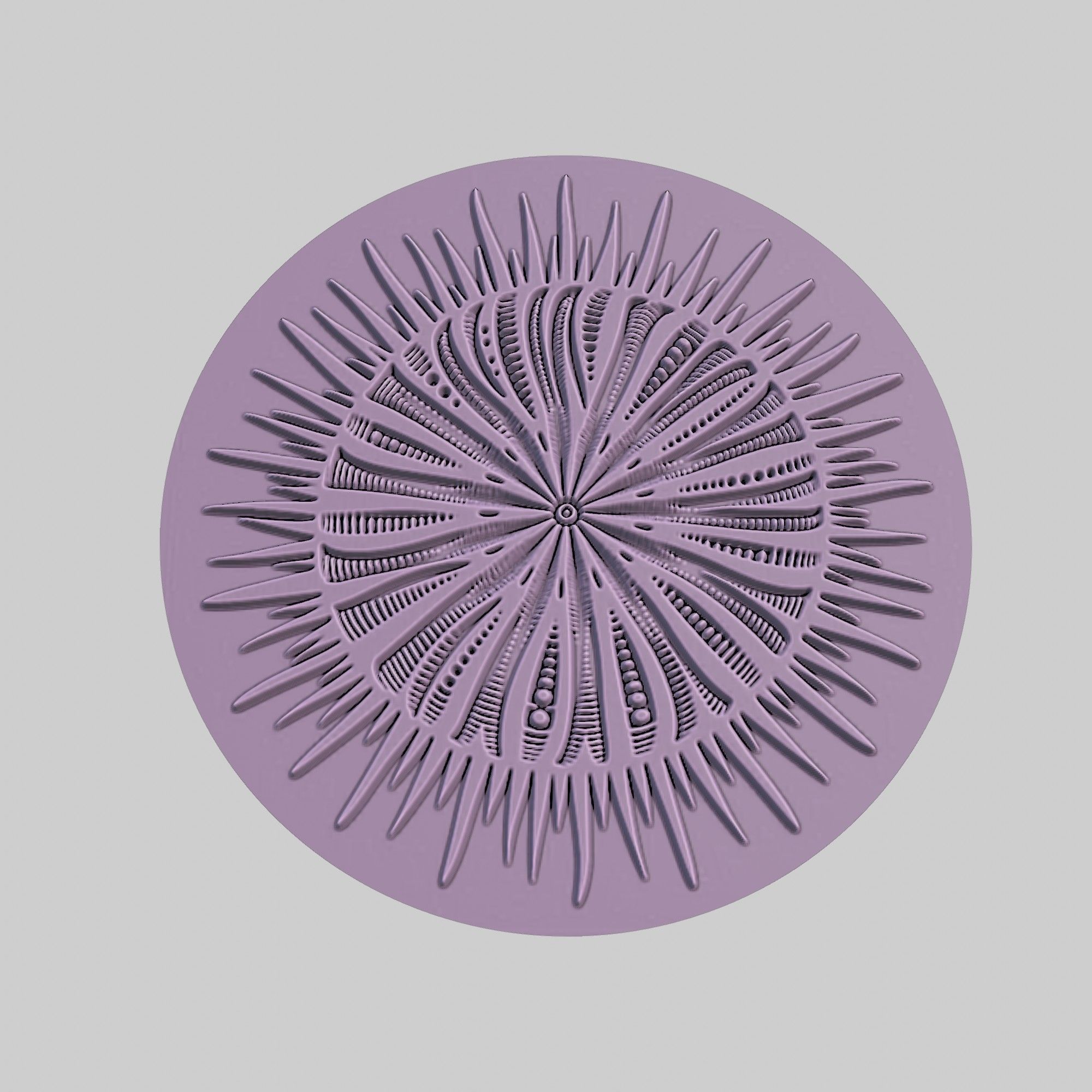 Sea urchin Animal Medallion Sea urchin Print Model 3D print model_2