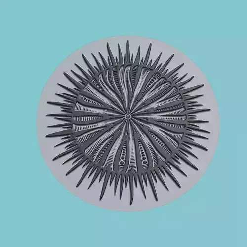 Sea urchin Animal Medallion Sea urchin Print Model
