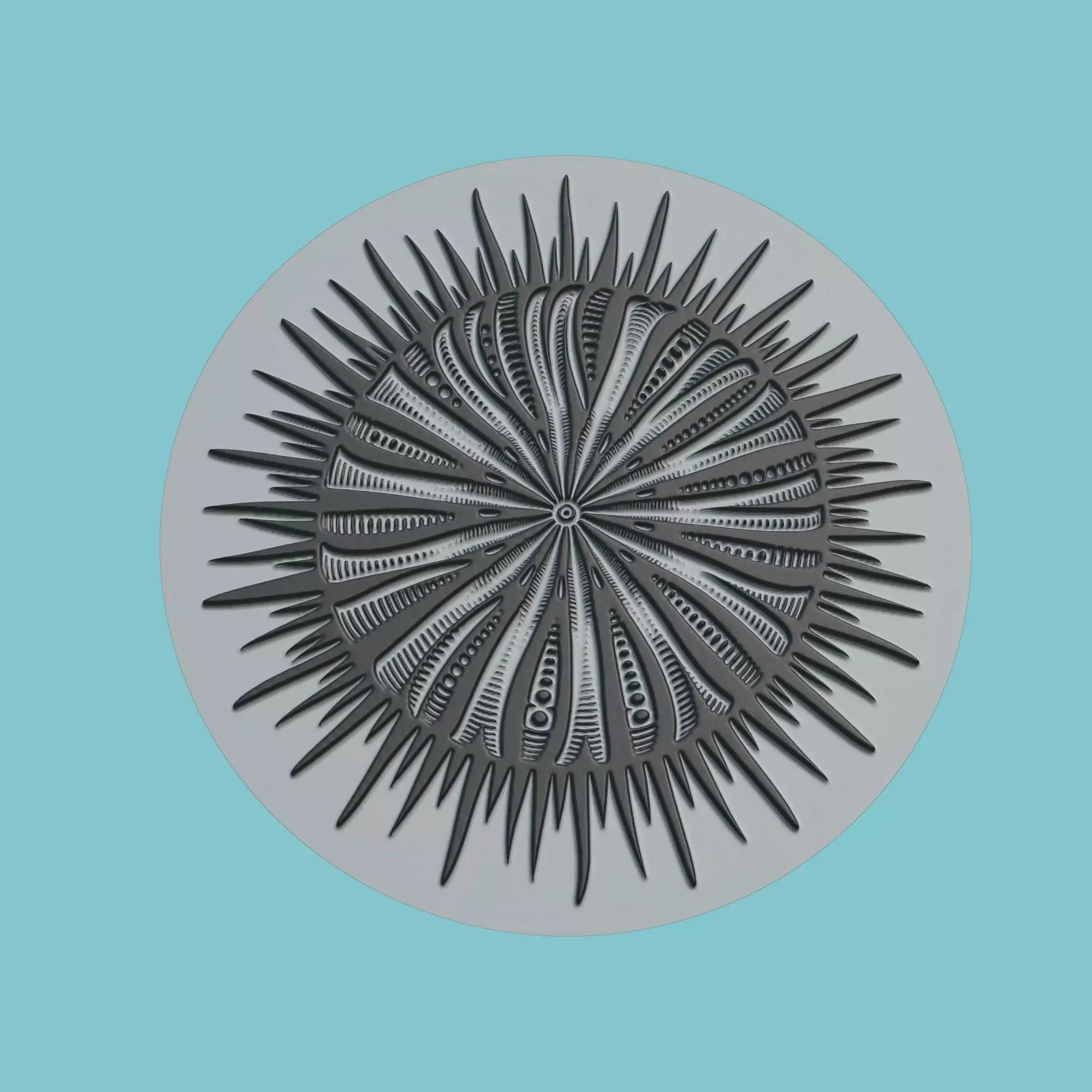 Sea urchin Animal Medallion Sea urchin Print Model 3D print model_0