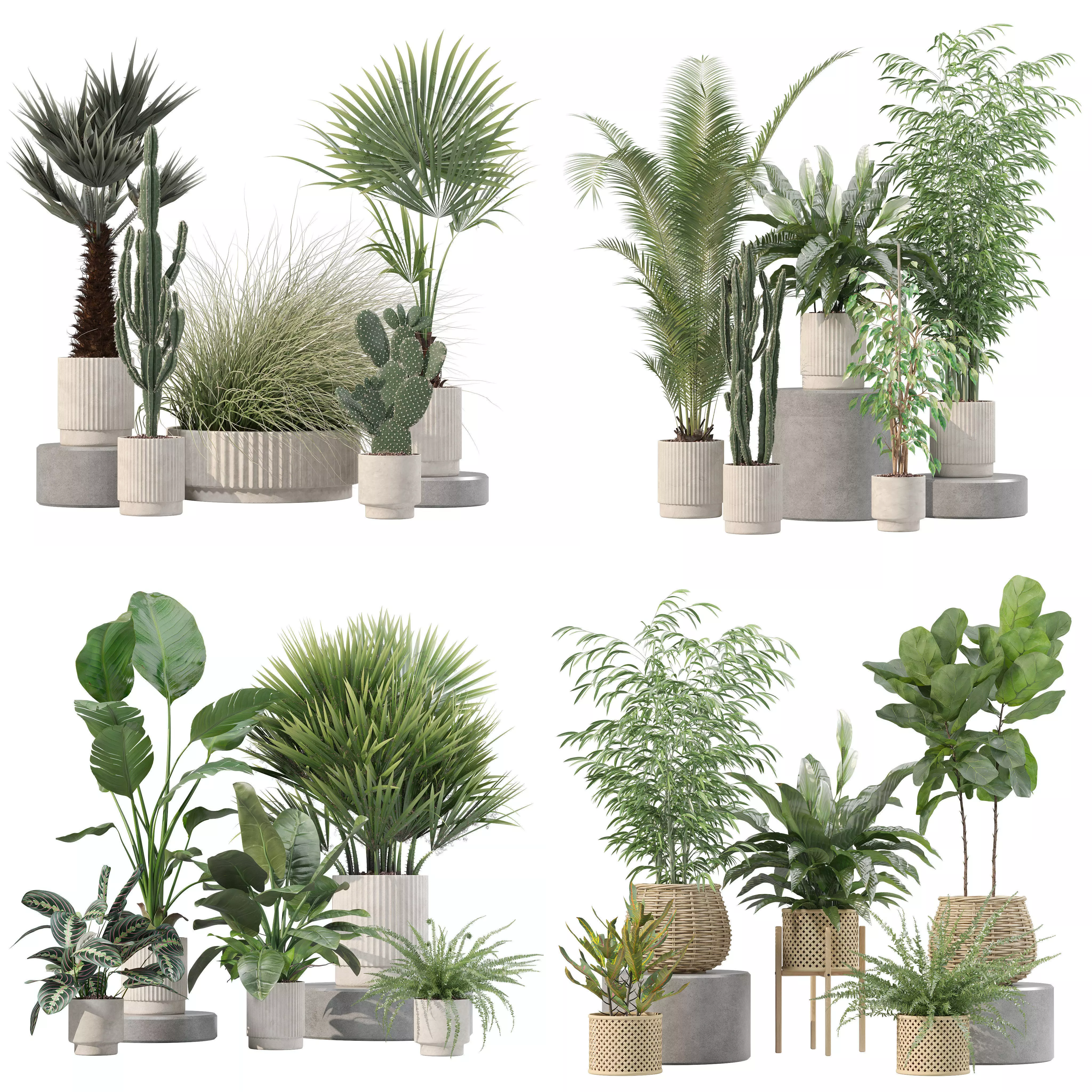 20 Photorealistic Flowers for Interiors - set 205 207 214 216 3D Model Collection_0