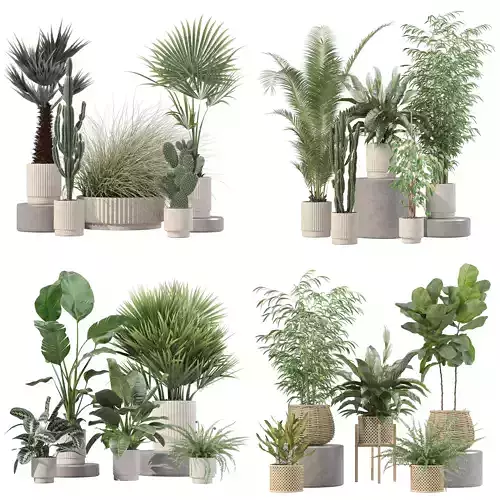 20 Photorealistic Flowers for Interiors - set 205 207 214 216 3D Model Collection