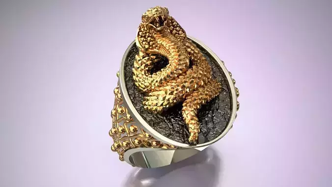 Snake Gift Ring