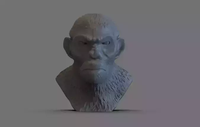 Caesar Bust Planet of Ages
