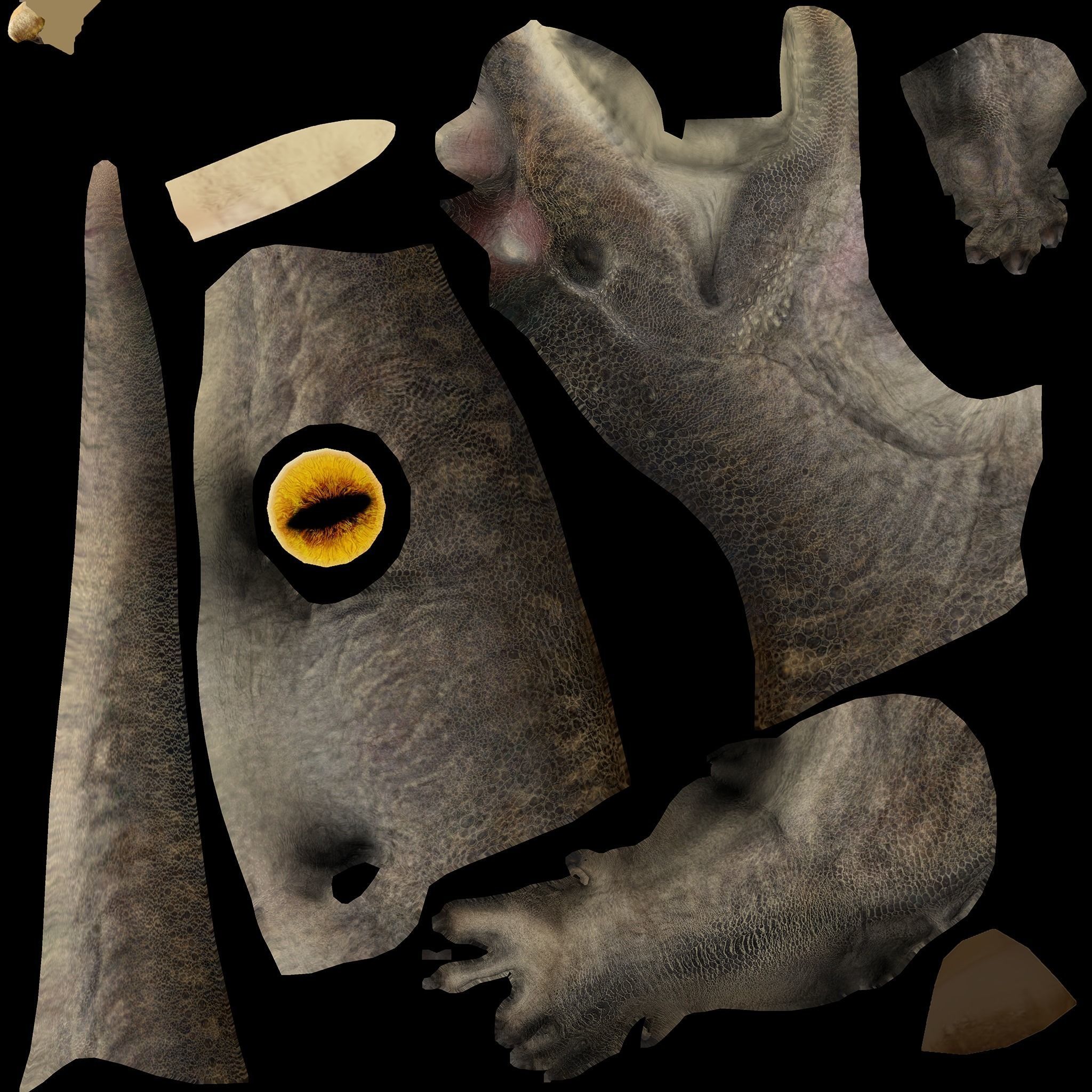 Ceratosaurus Low-poly 3D model_9