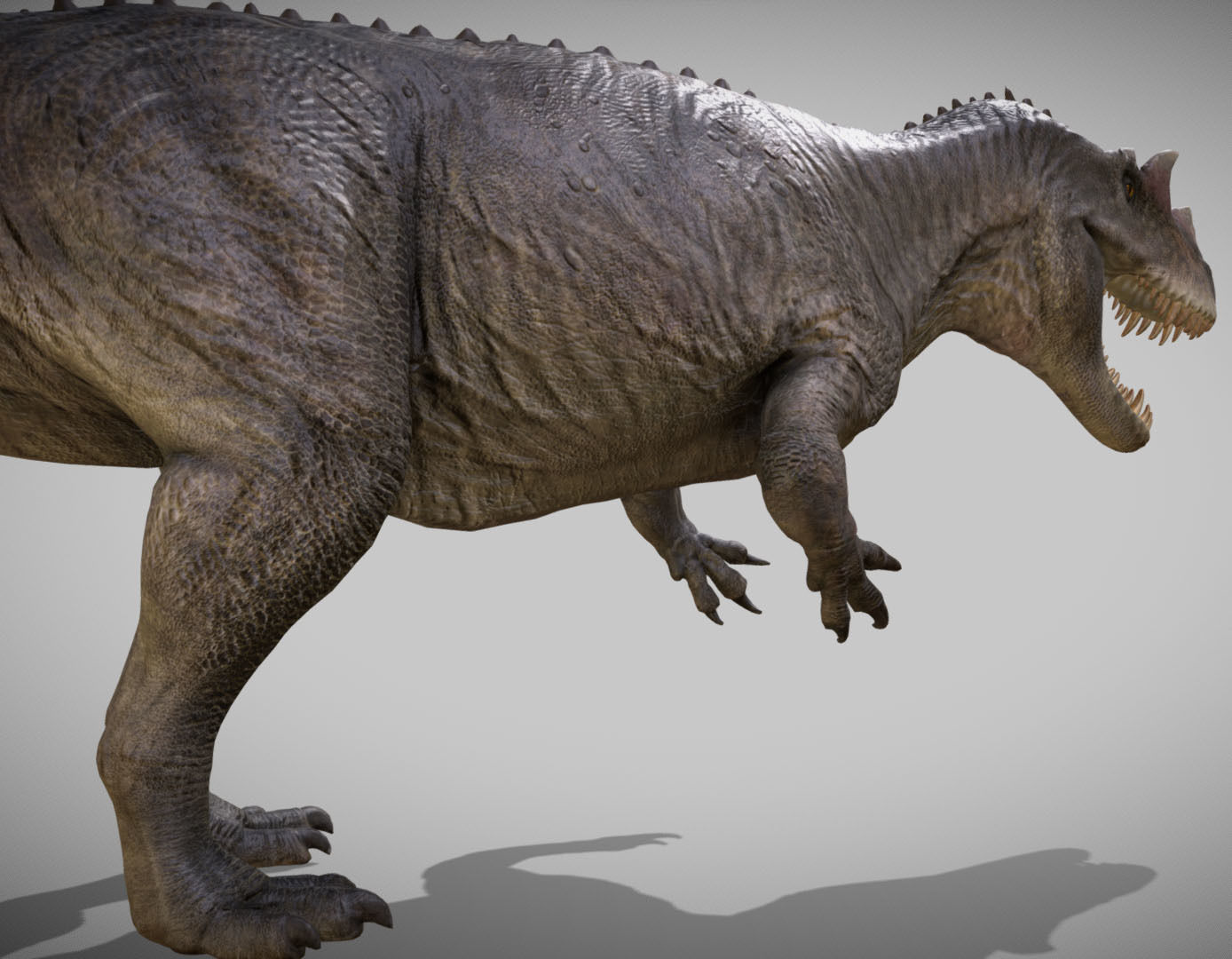 Ceratosaurus Low-poly 3D model_7