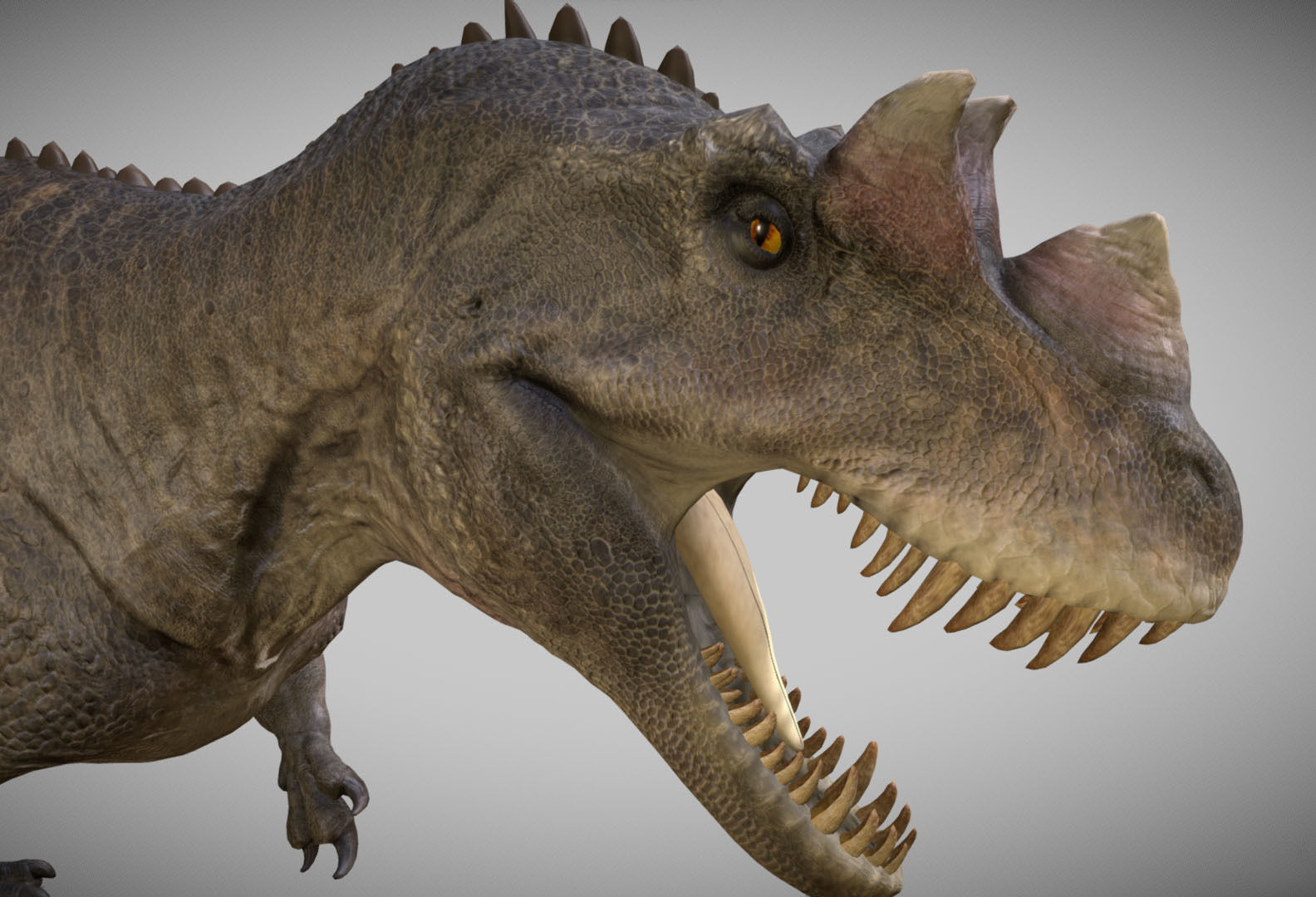 Ceratosaurus Low-poly 3D model_2
