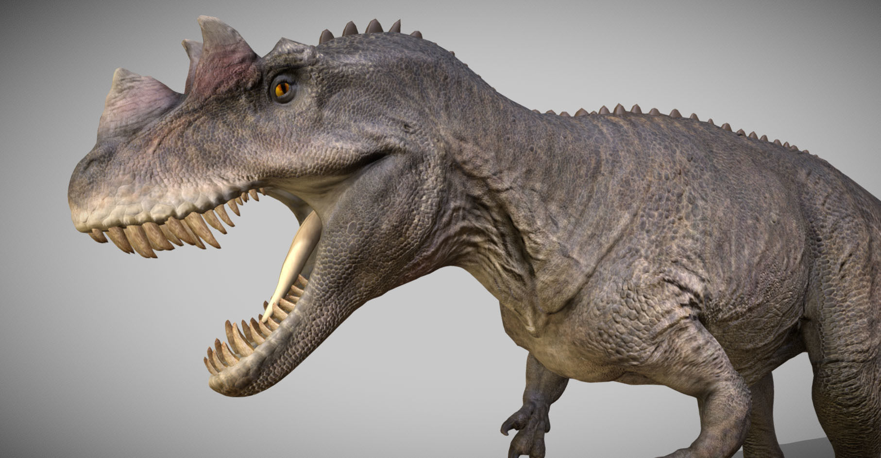 Ceratosaurus Low-poly 3D model_3