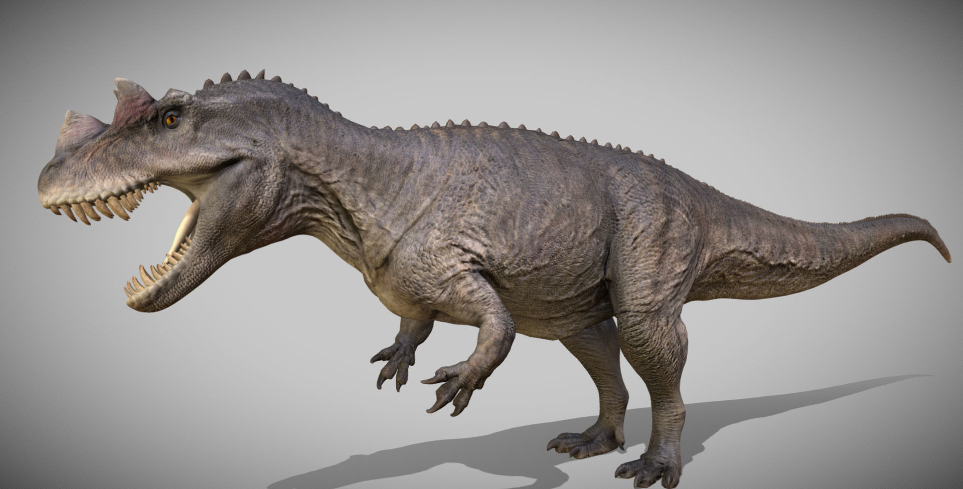 Ceratosaurus Low-poly 3D model_5