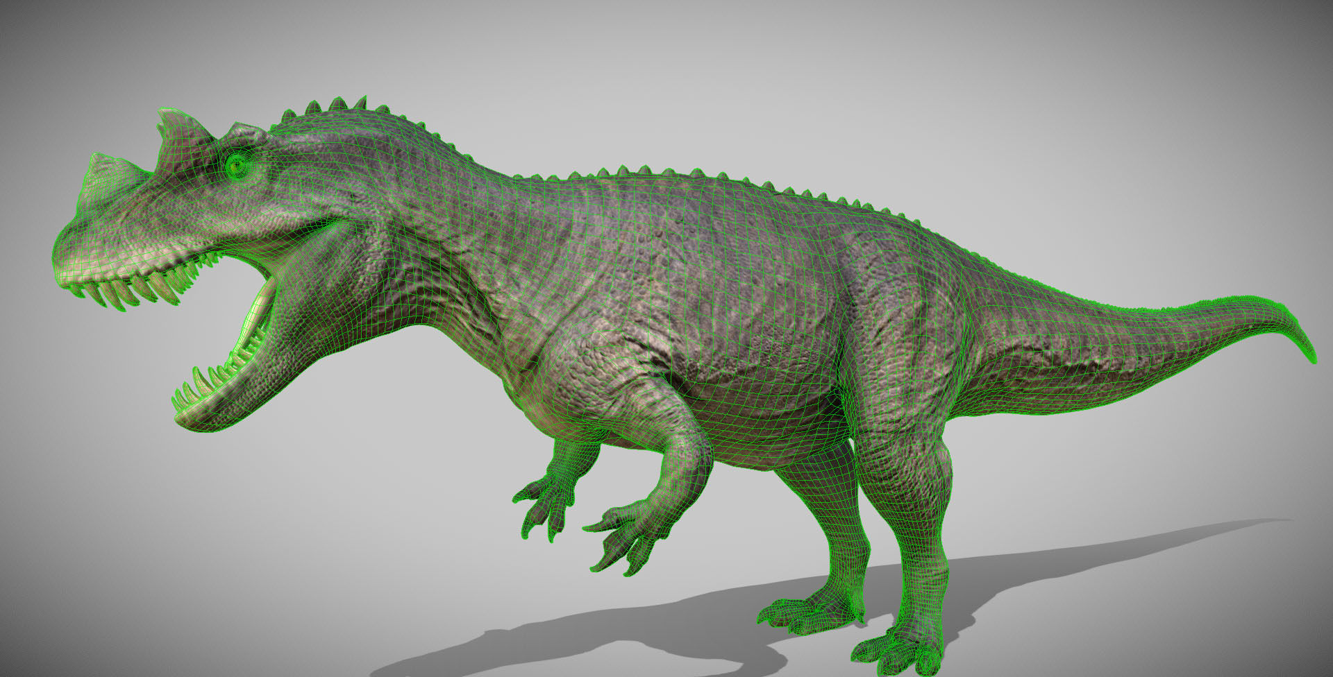 Ceratosaurus Low-poly 3D model_6