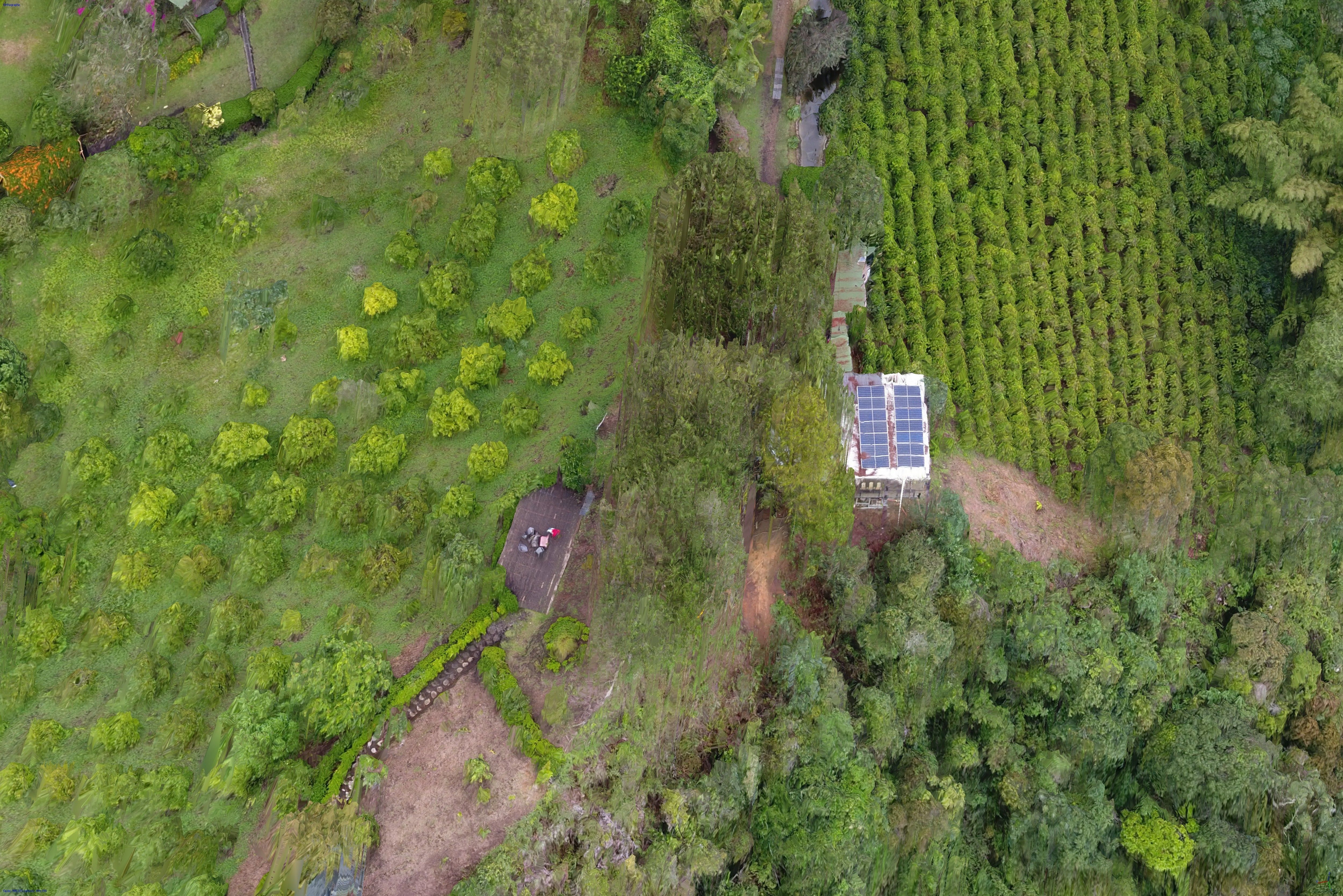 Reserva Natural Salto Del Buey Low-poly 3D model_18