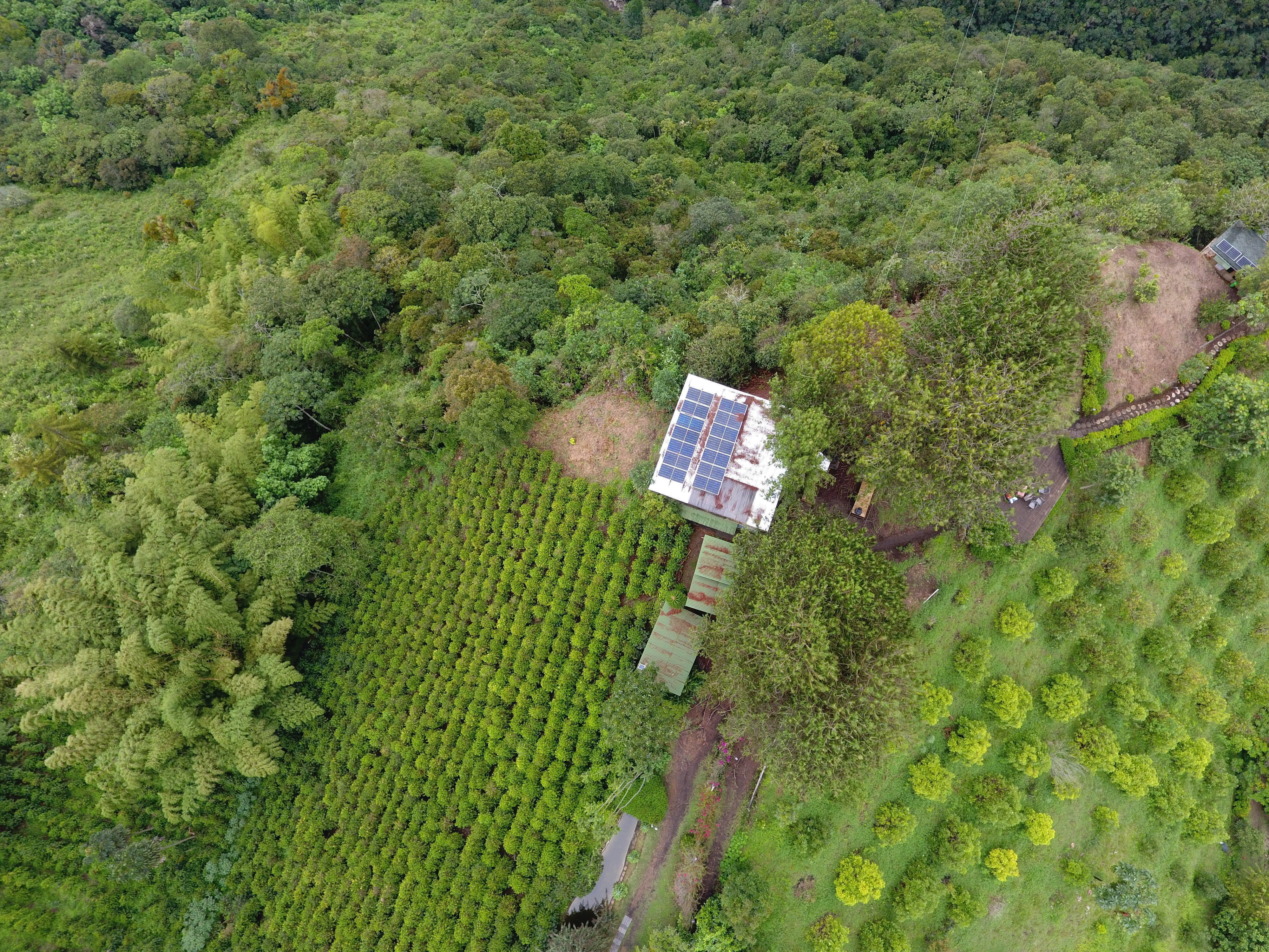 Reserva Natural Salto Del Buey Low-poly 3D model_8